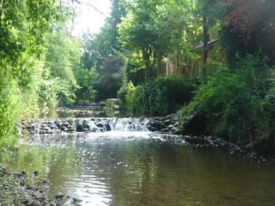 LE MOULIN DE LA MOURACHONNE