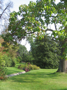 JARDIN DU TROCADÉRO