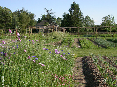 LE POTAGER DU CHÂTEAU