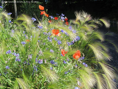 Jardin Botanique