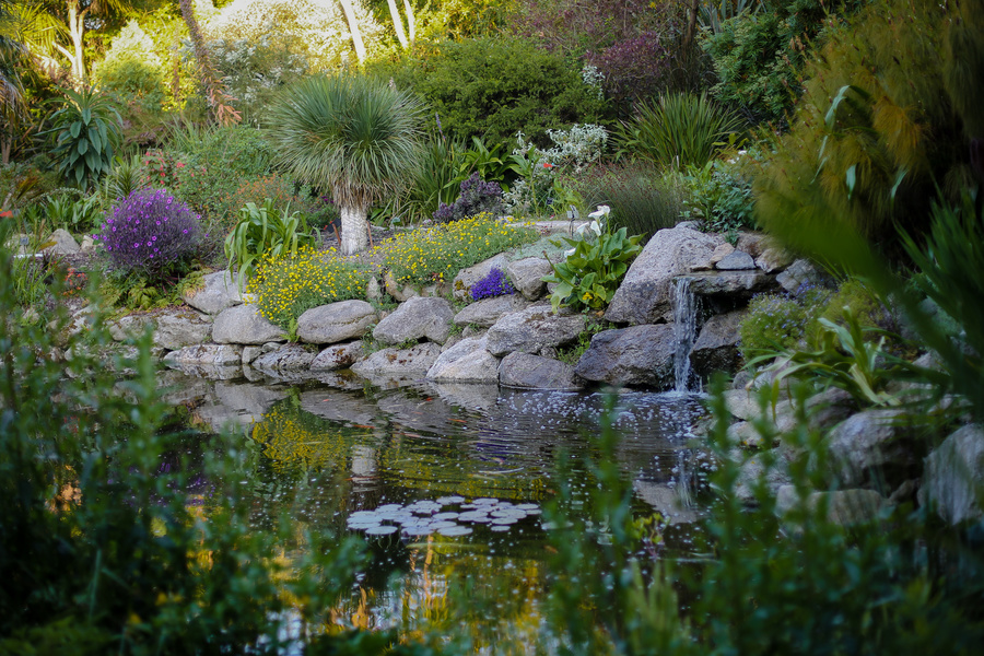 JARDIN EXOTIQUE ET BOTANIQUE DE ROSCOFF