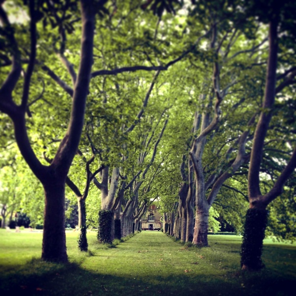 Parc du Domaine de Montlaur