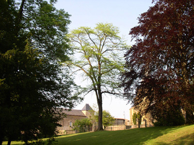 PARC DU PRIEURE DE CONS LA GRANDVILLE