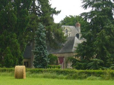 Parc du château de La Montchevalleraie