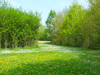 Parc Botanique de Breil de Foin