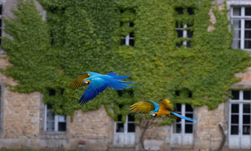 PARC ANIMALIER ET BOTANIQUE DE BRANFÉRÉ