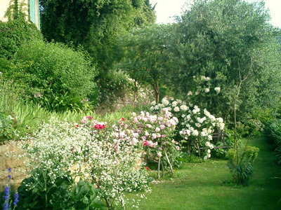 JARDIN DE LA VILLA FORT FRANCE