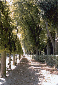 PARC DE BLOSSAC