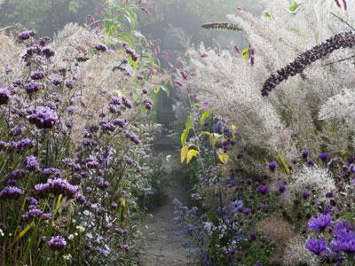 LE JARDIN PLUME