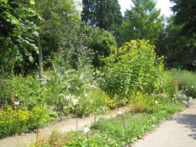 Jardin Botanique de la Faculté de Pharmacie