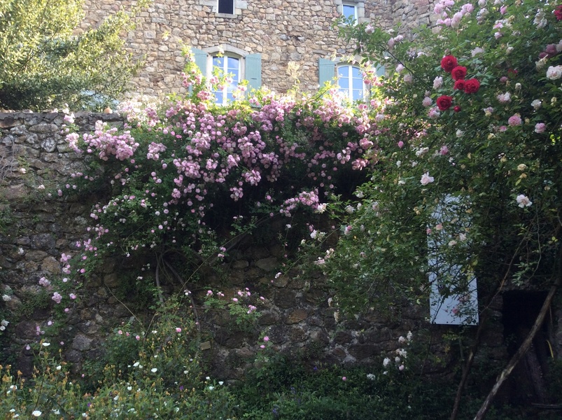 JARDINS DU CHATEAU DU PIN