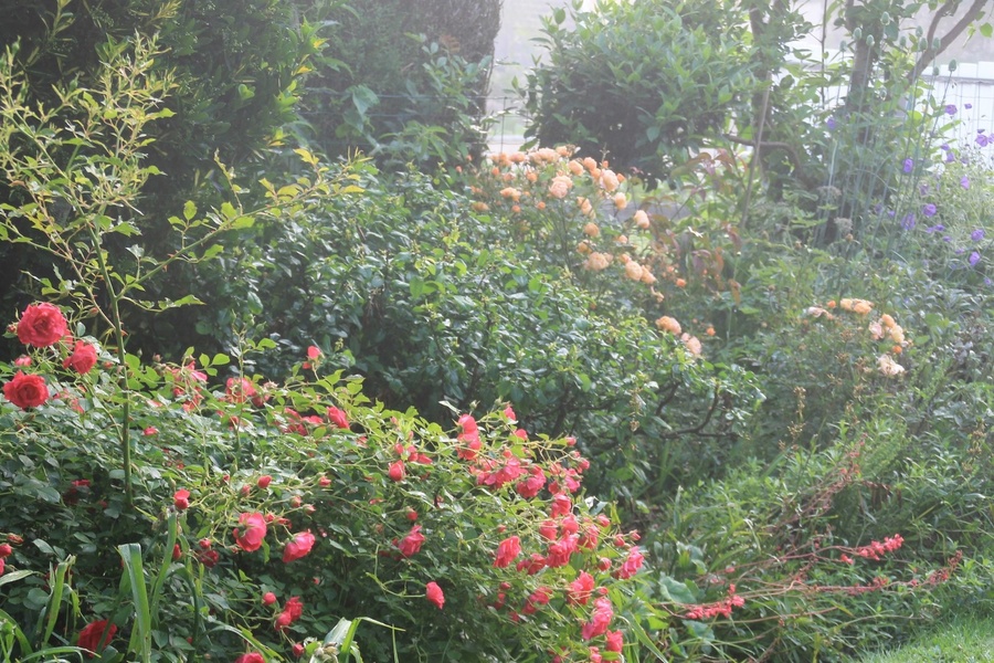 Le Jardin de Valérie