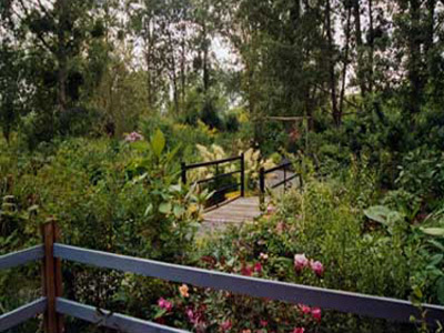 LE JARDIN DE CORAMILLE