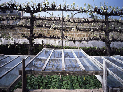 POTAGER DU ROI - ECOLE NATIONALE SUPÉRIEURE DU PAYSAGE