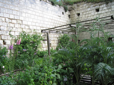 Jardin d'inspiration médiévale du donjon de Loches