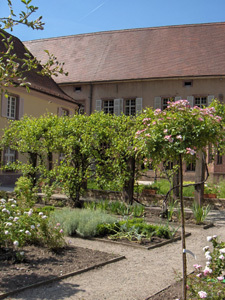 JARDIN MONASTIQUE DES DOMINICAINS DE HAUTE-ALSACE