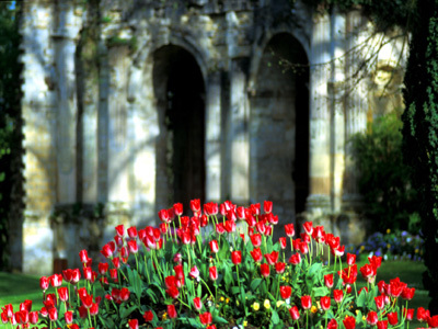 PARC DES CAPUCINS