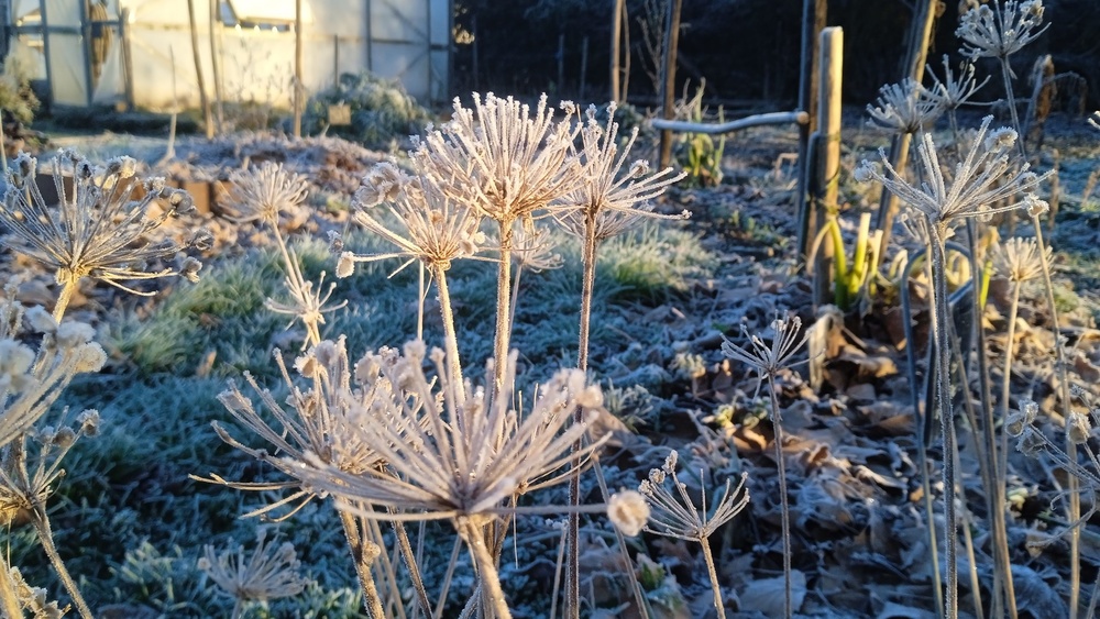 Jardin-verger Conservatoire