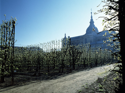 POTAGER DU ROI - ECOLE NATIONALE SUPÉRIEURE DU PAYSAGE