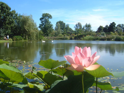 LES JARDINS AQUATIQUES