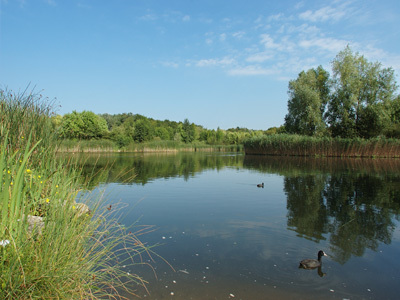 PARC DÉPARTEMENTAL DE LA COURNEUVE