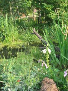 Jardin du site d'enseignement agricole de Douai