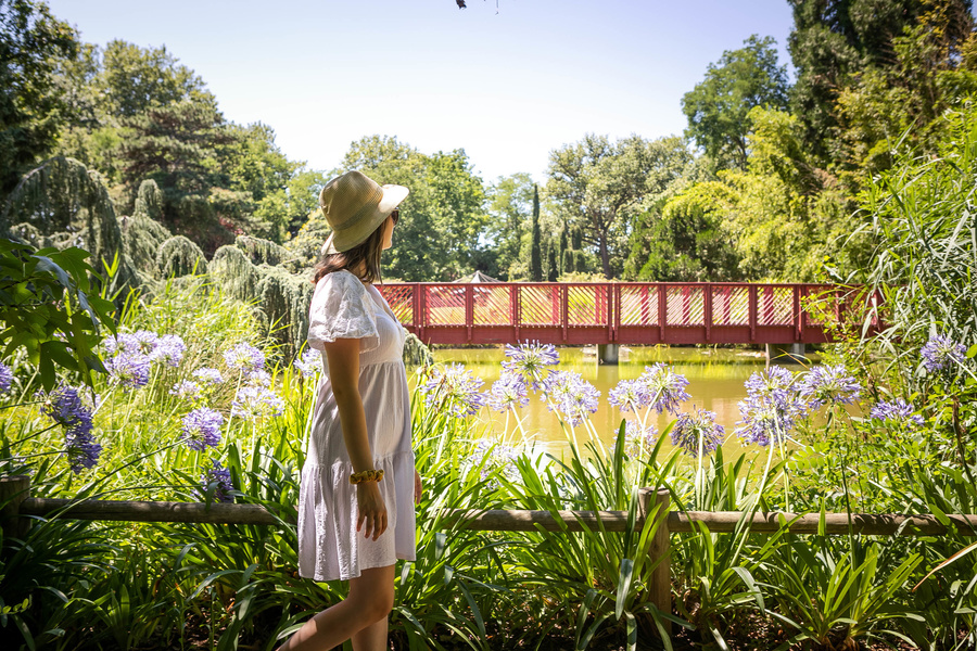 JARDIN DES PLANTES DES CAPELLANS