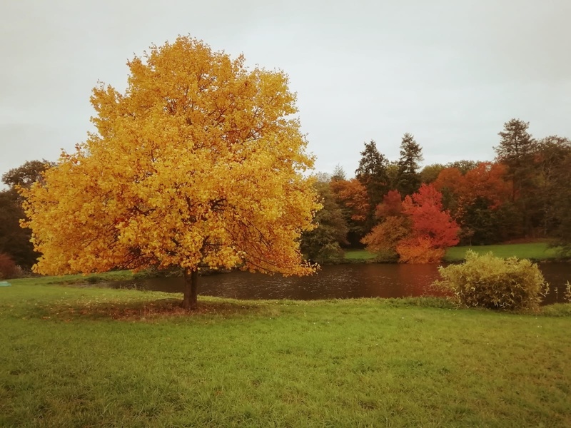 PARC ET JARDINS DU CHÂTEAU DE TOURNELAY