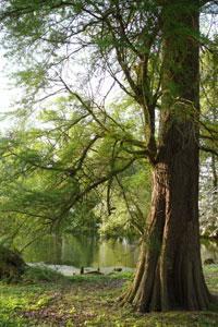 PARC ET JARDINS DE LA PEYLOUSE