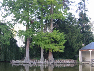 ARBORETUM DE BALAINE