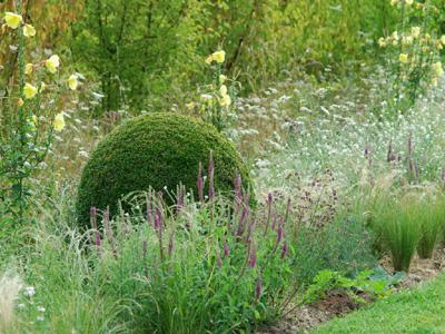 LES JARDINS DE L'ALBAREDE