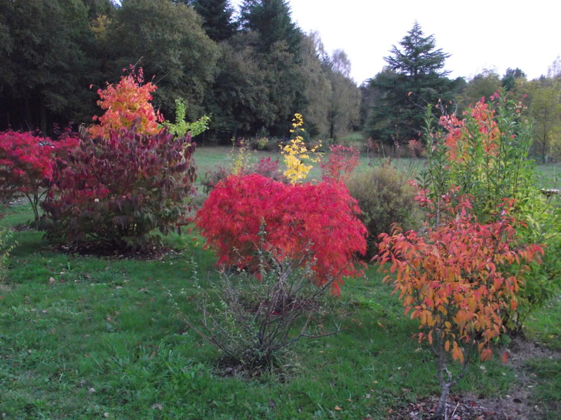 LE JARDIN DE RIVASSOUX