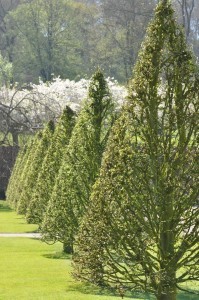 JARDINS DE VALLOIRES