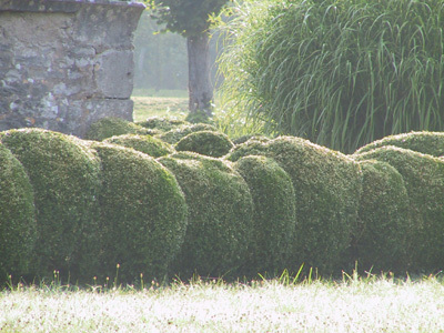 PARC ET JARDINS DU CHÂTEAU DE CHÂTILLON EN BAZOIS