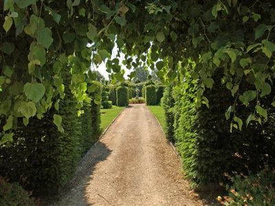 LE JARDIN DU BÂTIMENT