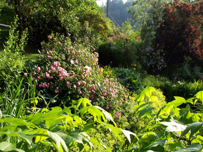 JARDIN DU FAUDÉ