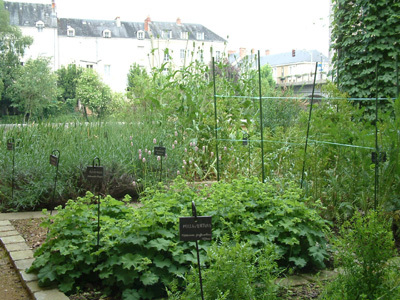 JARDIN TEXTILE DU MUSÉE DE LA CHEMISERIE