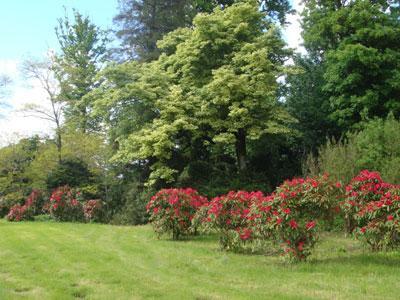 LE PARC DE SAINT SYMPHORIEN DES MONTS