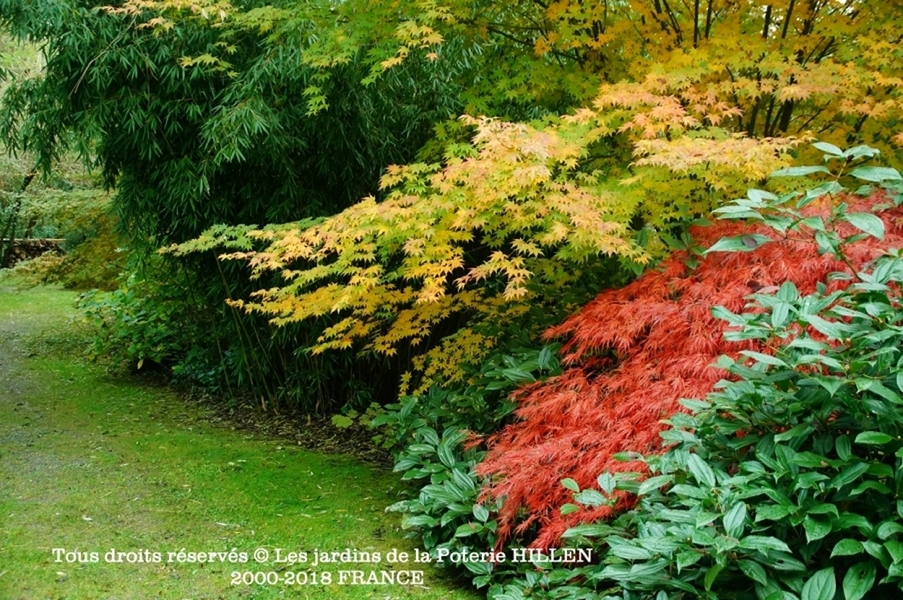 Les Jardins de la Poterie Hillen