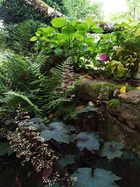 Jardin botanique de la Florendière