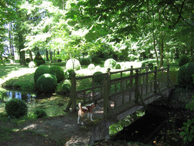 JARDIN DU CHÂTEAU DU MÉAGE