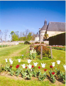 PARC DU CHÂTEAU DE MONTGEOFFROY