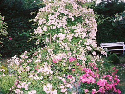 JARDIN LA BOURDONNIERE