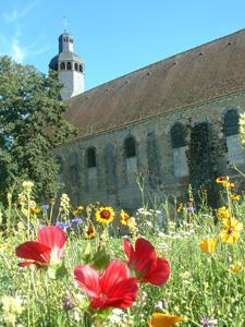 JARDINS THÉMATIQUES DE L'ABBAYE DE THIRON GARDAIS