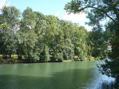 Parcours botanique au fil de l'Indre