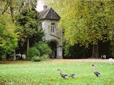 Abbaye Saint Pierre de Bèze