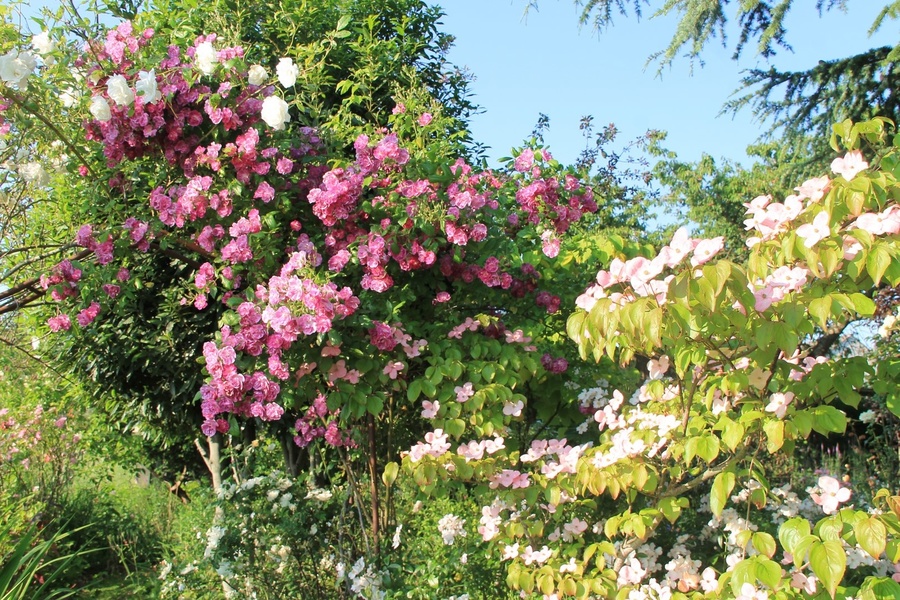 Le Jardin de Valérie