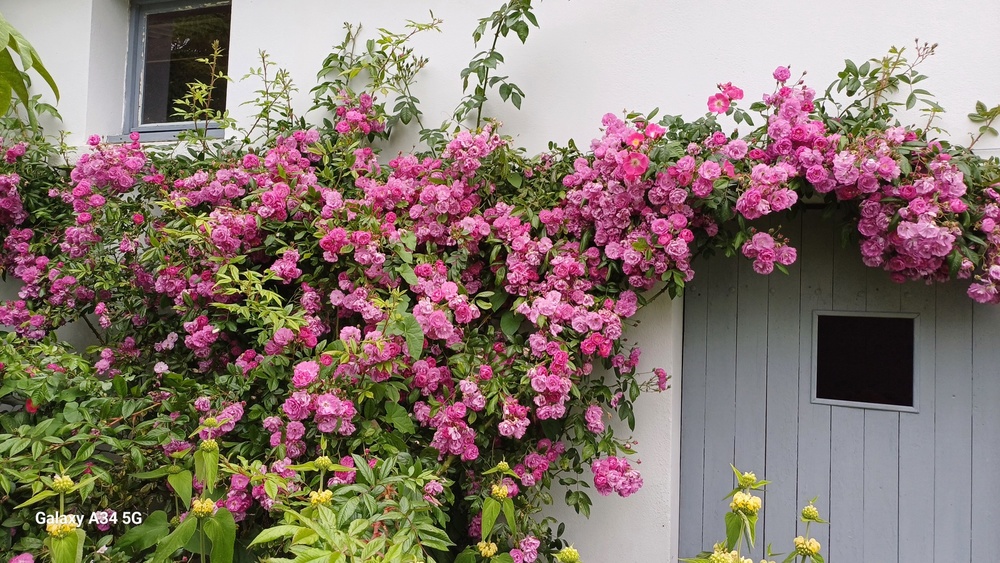 Un Jardin à Landrévarzec