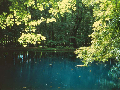 PARC ET JARDINS DU CHÂTEAU DE BEAULON