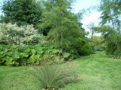 JARDIN DU CLOS DE SAINT SATURNIN